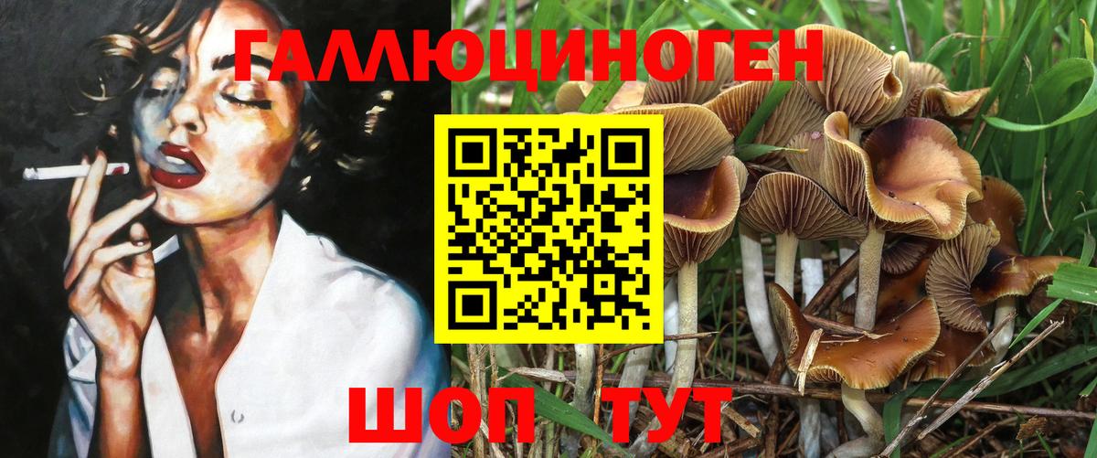 Волхов  Галлюциногенные грибы Magic Shrooms  Псилоцибиновые грибы ЛСД  Вход с VPN 